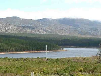 Cops discover abalone worth nearly R1 million a Steenbras Dam