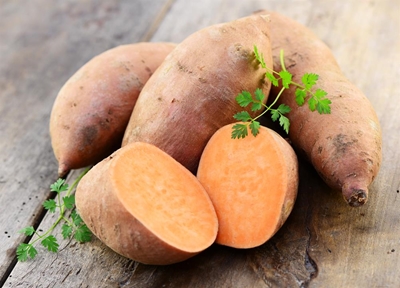 Growing sweet potatoes