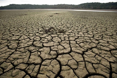 R60 million needed for Western Cape drought relief