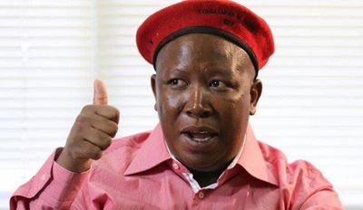 Malema: Madiba not solely to blame for failure of struggle