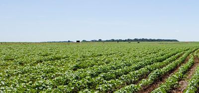 Grondeis ingestel teen twee boere
