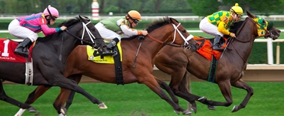 Top filly Silver Mountain confirmed for Cape Guineas