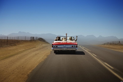 Get road trip ready with these top tips