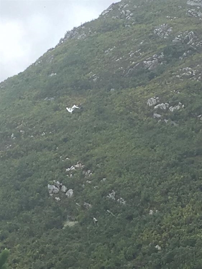 Light aircraft crashes in Tsitsikamma