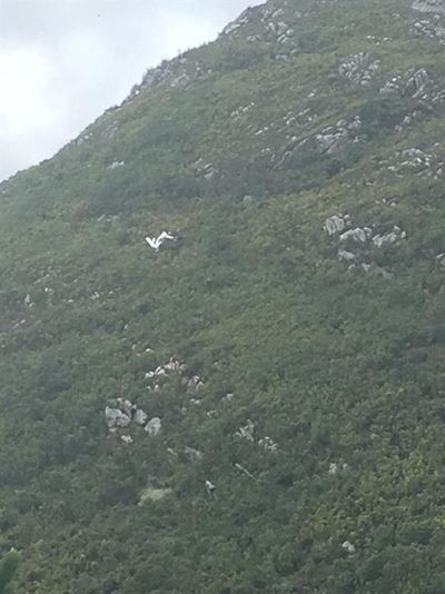 Light aircraft crashes in Tsitsikamma