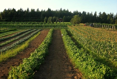 Get ready: sustainable farming is here to stay