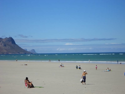 Whale carcass causes Strand beach closure