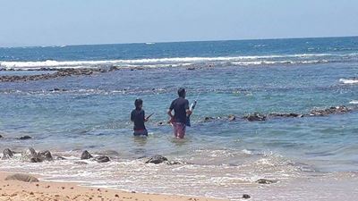 CapeNature konfiskeer harpoen-gewere