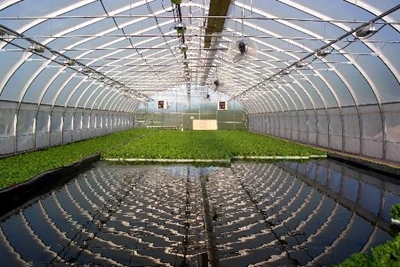 A better way to do aquaponics