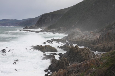 Tsitsikamma fishing project stopped