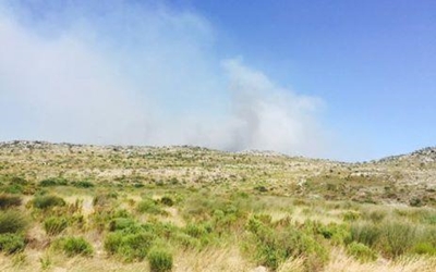 Over 100 firefighters battle blaze in Scarborough
