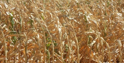 Gift of the Givers to assist drought-stricken Free State