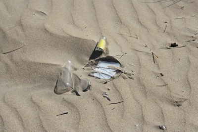 Toestand van Blouvlagstrand bevraagteken