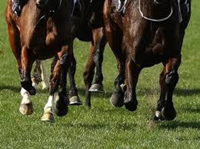 Chance to win up to R50 000 during Kenilworth race day