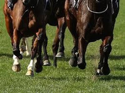 Chance to win up to R50 000 during Kenilworth race day