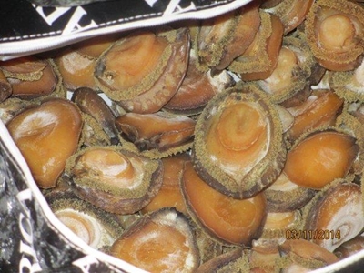 R1-million abalone bust