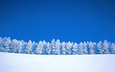 US snowstorm: Millions prepare for huge blizzard