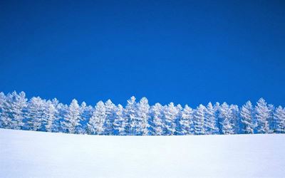 US snowstorm: Millions prepare for huge blizzard