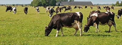 Riglyne vir veeproduksie tydens droogte