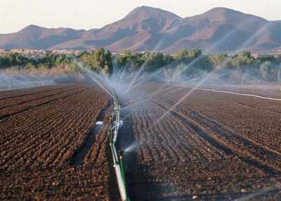 Timing makes a big difference in farming