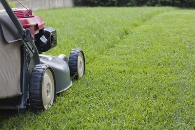 Save grass cuttings for animals