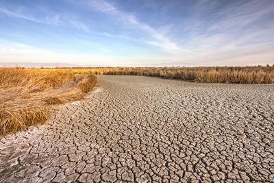 Zimbabwe finally declares the drought a disaster