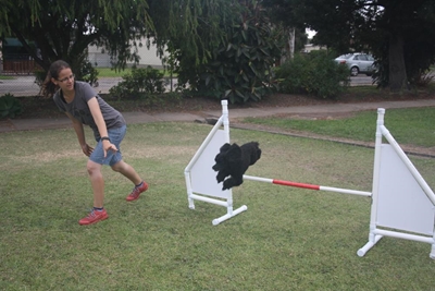 Local off to World Agility Championship