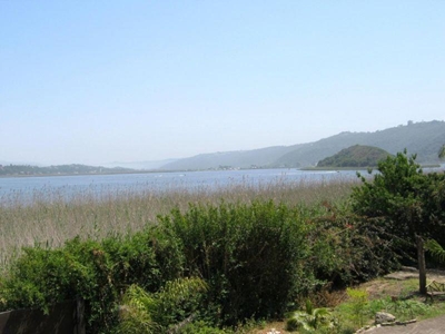 Near death for Wilderness resident
