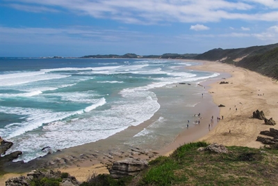 Plett again nominated for big award