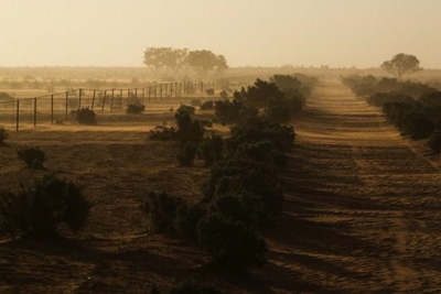 South Africa’s drought: Your burning questions answered