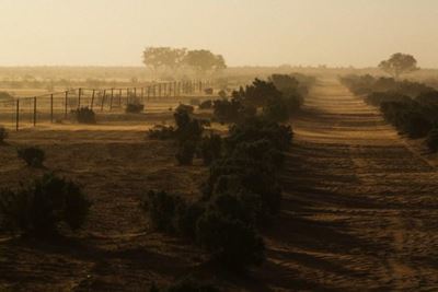 South Africa’s drought: Your burning questions answered