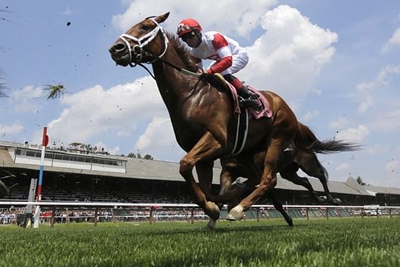 Feast of racing and eating as Turffontein hosts Gauteng and Fillies Guineas