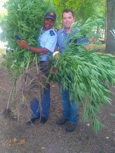 Riversdaller toegesluit vir daggabome