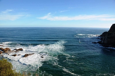 Knysna estuary tested for deadly bacteria