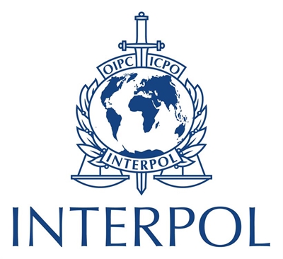 Interpol to investigate body on SA-bound plane