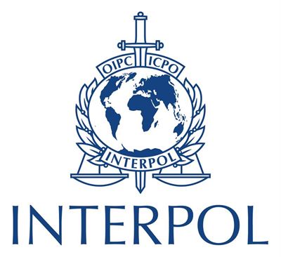 Interpol to investigate body on SA-bound plane