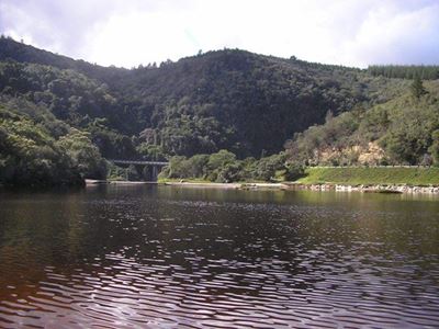 Kaaimans River: Initial bacteria tests negative