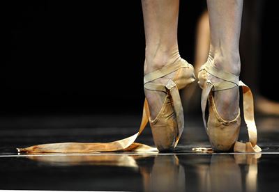 Pharaoh's Daughter a first for Dance Spectrum