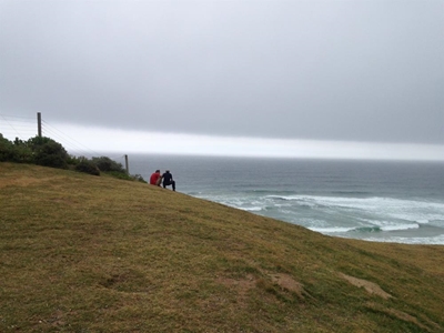 Paraglider crashes in Wilderness