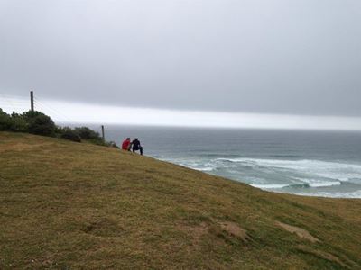 Paraglider crashes in Wilderness