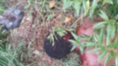 Man found dead in a pool of blood
