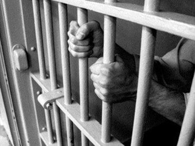 Media rights group appeals to Egyptian president to release 24 journalists