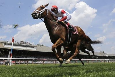 Racing and prawn festival brings out of the best in Cape Summer of Champions