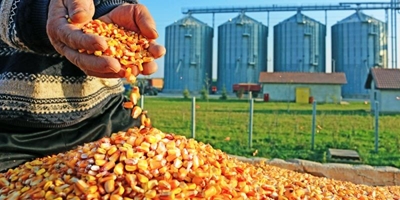 Joburg Market boosts exporter awareness