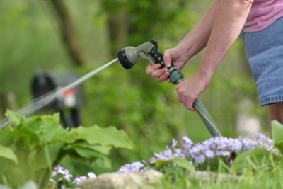 Save water and money in your garden