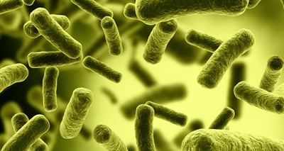 5 E.coli testing points in estuary unsafe