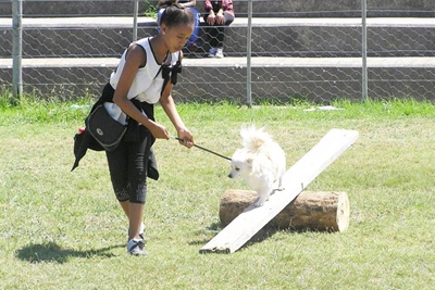Honde kry ook hul dag