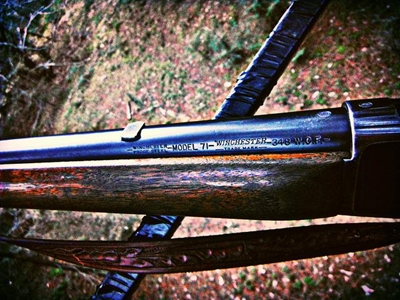 Kruger National Park ranger shot by suspected poacher