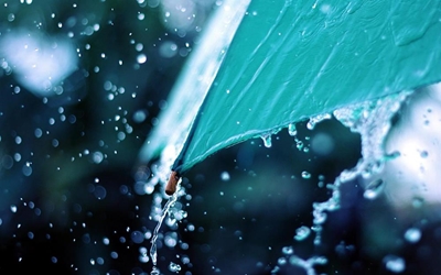 Welcome rain in Knysna