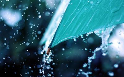 Welcome rain in Knysna